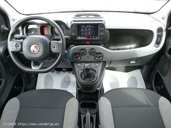 Fiat Panda City Life Hybrid 1.0 Gse 51kw (70CV) - Las Palmas de Gran Canaria