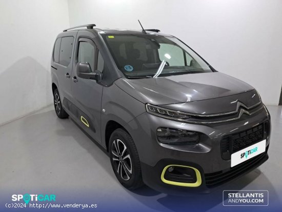 Citroën Berlingo  Talla M PureTech 110 S&S Feel - Sant Feliu de Llobregat