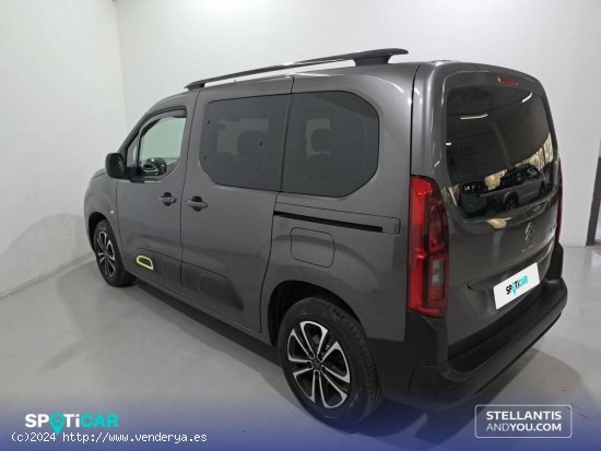 Citroën Berlingo  Talla M PureTech 110 S&S Feel - Sant Feliu de Llobregat