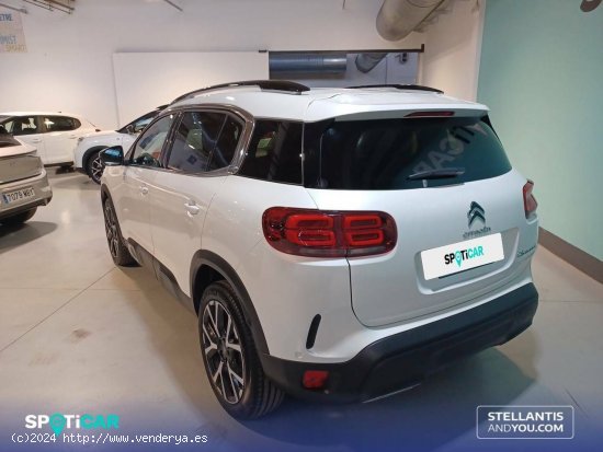 Citroën C5 Aircross  BlueHdi 96kW (130CV) S&S Shine - Barcelona