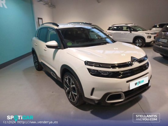 Citroën C5 Aircross  BlueHdi 96kW (130CV) S&S Shine - Barcelona