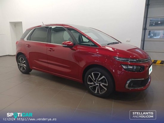 Citroën C4 Picasso  PureTech 96KW (130CV) S&S 6v Shine - Zaragoza