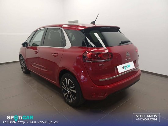 Citroën C4 Picasso  PureTech 96KW (130CV) S&S 6v Shine - Zaragoza