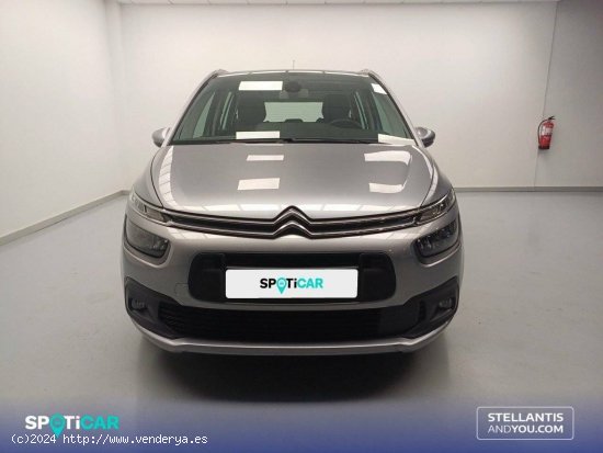 Citroën Grand C4 Picasso  BlueHDi 88KW (120CV) Live - Vigo