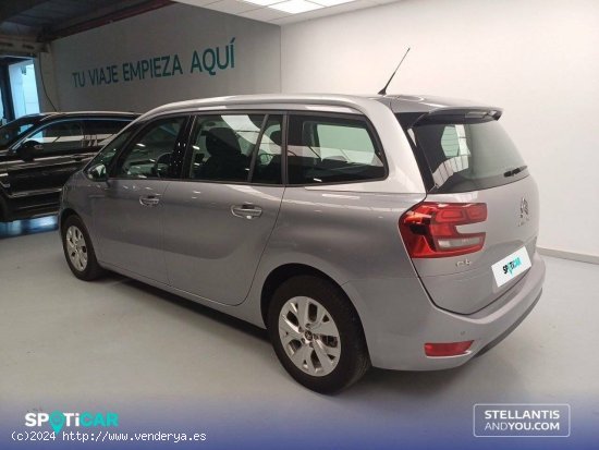 Citroën Grand C4 Picasso  BlueHDi 88KW (120CV) Live - Vigo