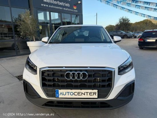 AUDI Q2 en venta en CalviÃ  (Islas Baleares) - CalviÃ 