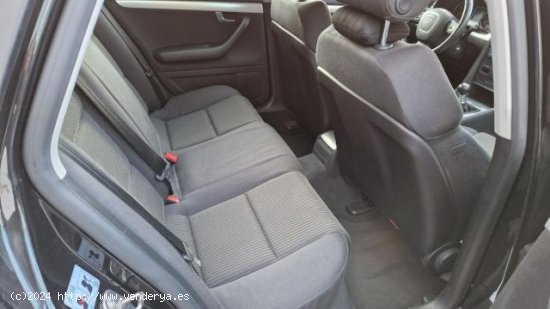 AUDI A4 en venta en Lugo (Lugo) - Lugo