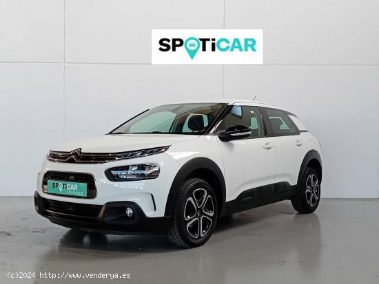  Citroën C4 Cactus  BlueHDi 100 S&S Feel - Mataro 