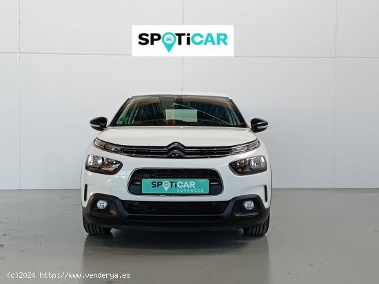 Citroën C4 Cactus  BlueHDi 100 S&S Feel - Mataro