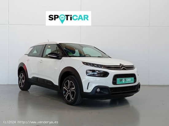 Citroën C4 Cactus  BlueHDi 100 S&S Feel - Mataro