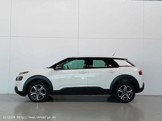 Citroën C4 Cactus  BlueHDi 100 S&S Feel - Mataro