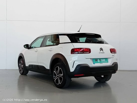 Citroën C4 Cactus  BlueHDi 100 S&S Feel - Mataro