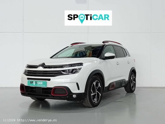  Citroën C5 Aircross  BlueHdi 96kW (130CV) S&S Feel - Mataro 