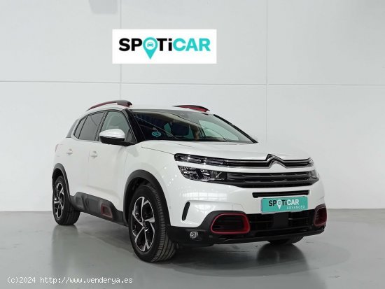 Citroën C5 Aircross  BlueHdi 96kW (130CV) S&S Feel - Mataro