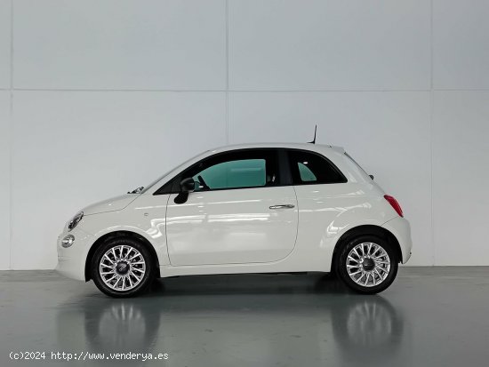 Fiat 500   1.0 Hybrid 51KW (70 CV) Cult - Mataro