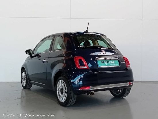 Fiat 500   1.0 Hybrid 51KW (70 CV) Dolcevita - Mataro