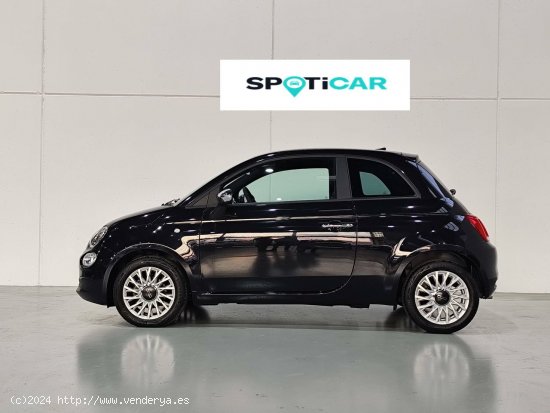 Fiat 500   1.0 Hybrid 51KW (70 CV) Monotrim - Mataro