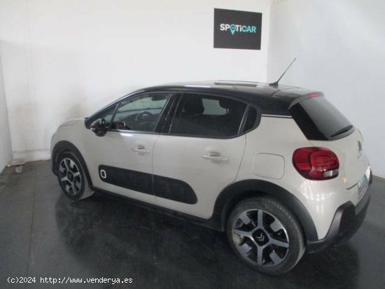 Citroën C3  BlueHDi 73KW (100CV) S&S Shine - CARMONA