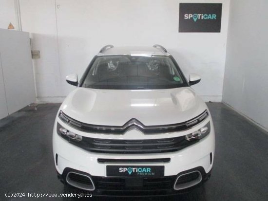 Citroën C5 Aircross  225 e-EAT8 Feel Pack - CARMONA