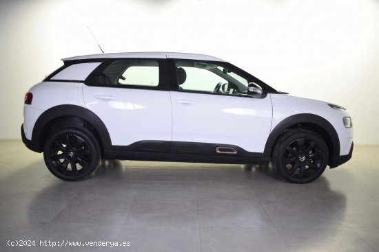 Citroën C4 Cactus  BlueHDi 100 S&S Origins - zaragoza