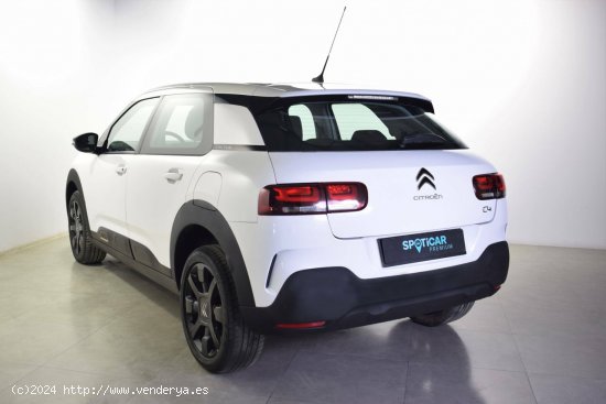 Citroën C4 Cactus  BlueHDi 100 S&S Origins - zaragoza