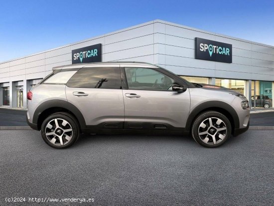 Citroën C4 Cactus  PureTech 110 S&S Shine - zaragoza