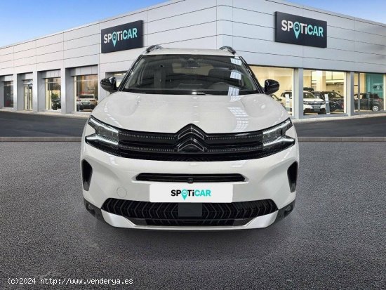 Citroën C5 Aircross  BlueHdi 96kW (130CV) S&S EAT8 Shine Pack - zaragoza