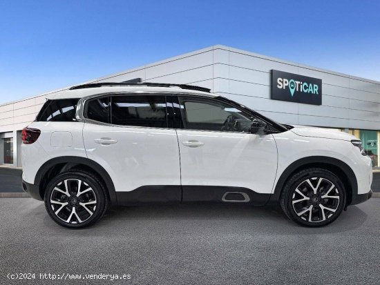 Citroën C5 Aircross  BlueHdi 96kW (130CV) S&S EAT8 Shine Pack - zaragoza