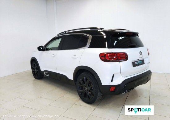 Citroën C5 Aircross  BlueHdi 132kW (180CV) S&S EAT8 Shine - Lugo