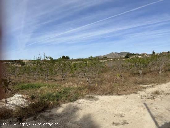 Parcela de terreno cercano al casco urbano - ALICANTE