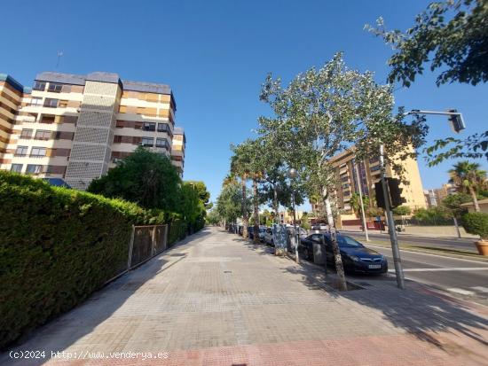 PISO EN ALQUILER EN ALICANTE BARRIO DE BABEL - ALICANTE