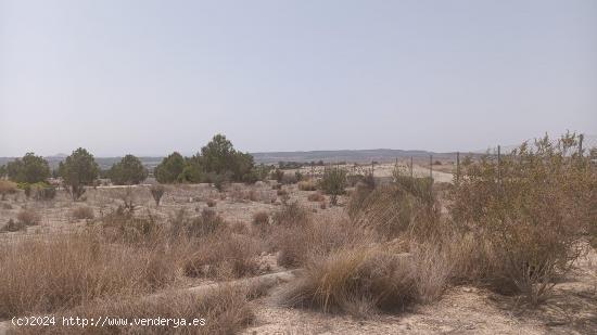 VENTA DE PARCELA EN MOLINA DE SEGURA - MURCIA