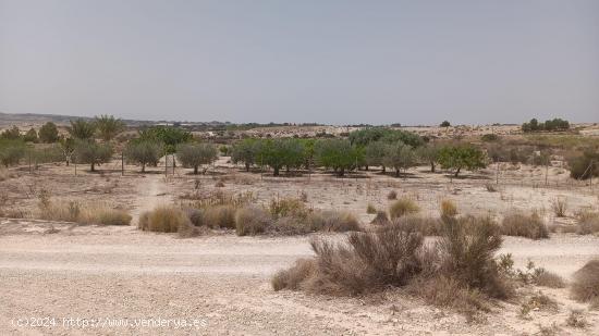 VENTA DE PARCELA EN MOLINA DE SEGURA - MURCIA