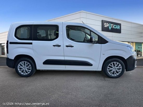 Citroën Berlingo  Talla M BlueHDi 100 S&S Live Pack - castellon