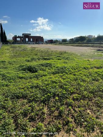 PARCELA URBANA EN BENALUP - CADIZ