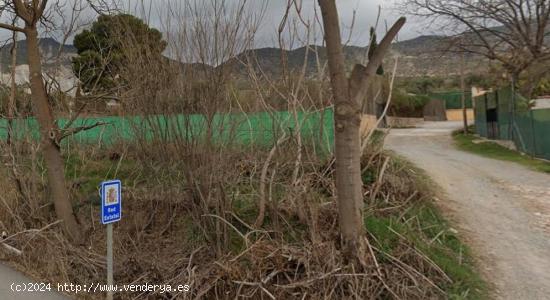  FINCAS EN PADUL - GRANADA 