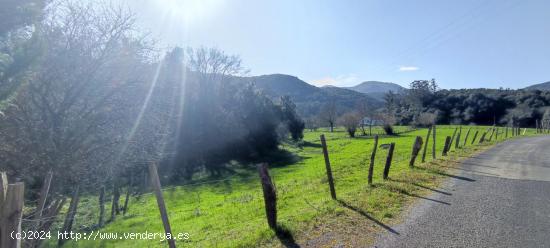 Parcela en Voto - CANTABRIA