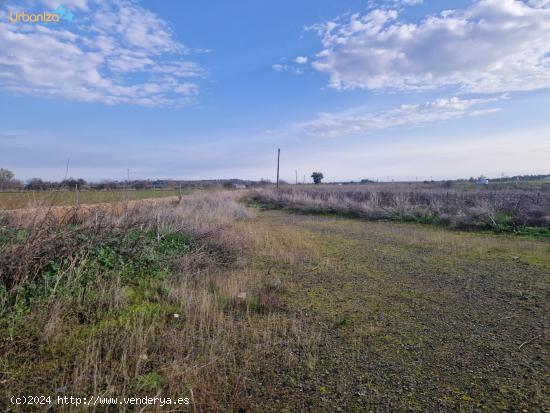 Terreno en Almendral con vivienda - BADAJOZ