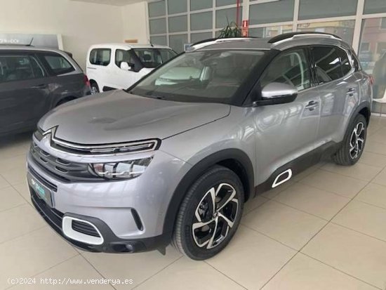 Citroën C5 Aircross  BlueHdi 96kW (130CV) S&S Feel - MANZANARES