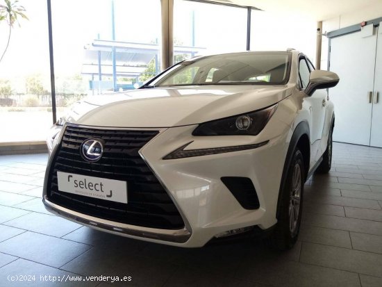 Lexus NX  2.5 300h  Navigation 2WD Business - MANZANARES