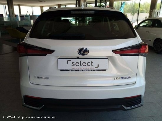 Lexus NX  2.5 300h  Navigation 2WD Business - MANZANARES