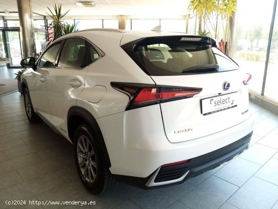 Lexus NX  2.5 300h  Navigation 2WD Business - MANZANARES