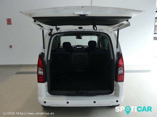 Citroën Berlingo  E-Berlingo Multispace Feel - Santander