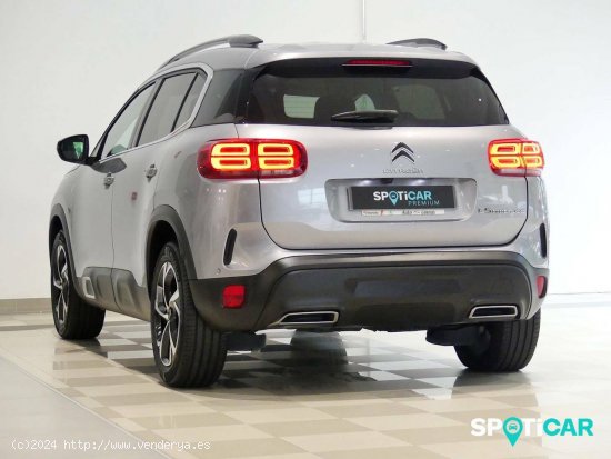 Citroën C5 Aircross  BlueHdi 96kW (130CV) S&S EAT8 C Series - Santander