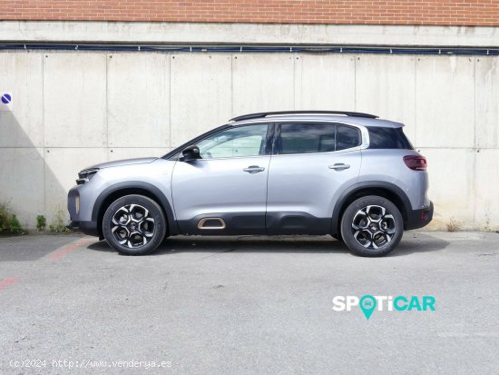 Citroën C5 Aircross  BlueHdi 96kW (130CV) S&S EAT8 C Series - Santander