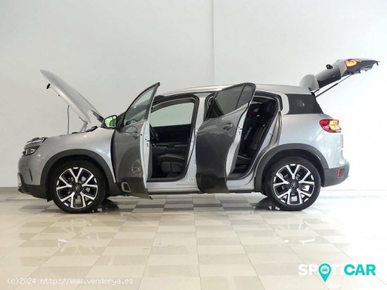 Citroën C5 Aircross  BlueHdi 96kW (130CV) S&S EAT8 Feel - Santander