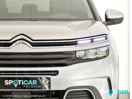 Citroën C5 Aircross  BlueHdi 96kW (130CV) S&S EAT8 Feel - Santander