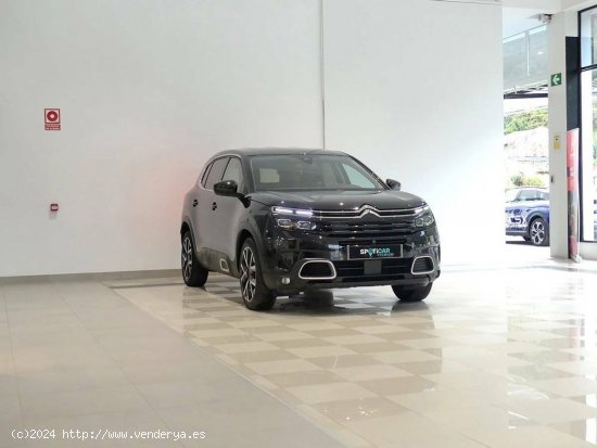 Citroën C5 Aircross  BlueHdi 96kW (130CV) S&S EAT8 Feel - Santander