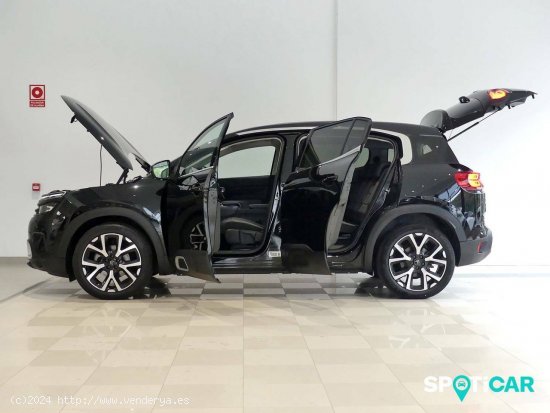 Citroën C5 Aircross  BlueHdi 96kW (130CV) S&S EAT8 Feel - Santander