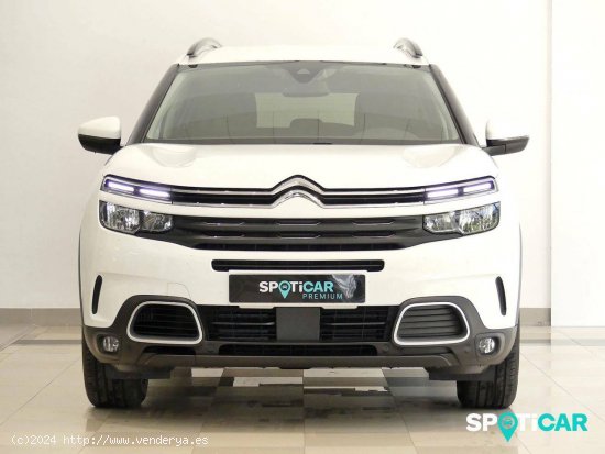 Citroën C5 Aircross  BlueHdi 96kW (130CV) S&S EAT8 Feel - Santander